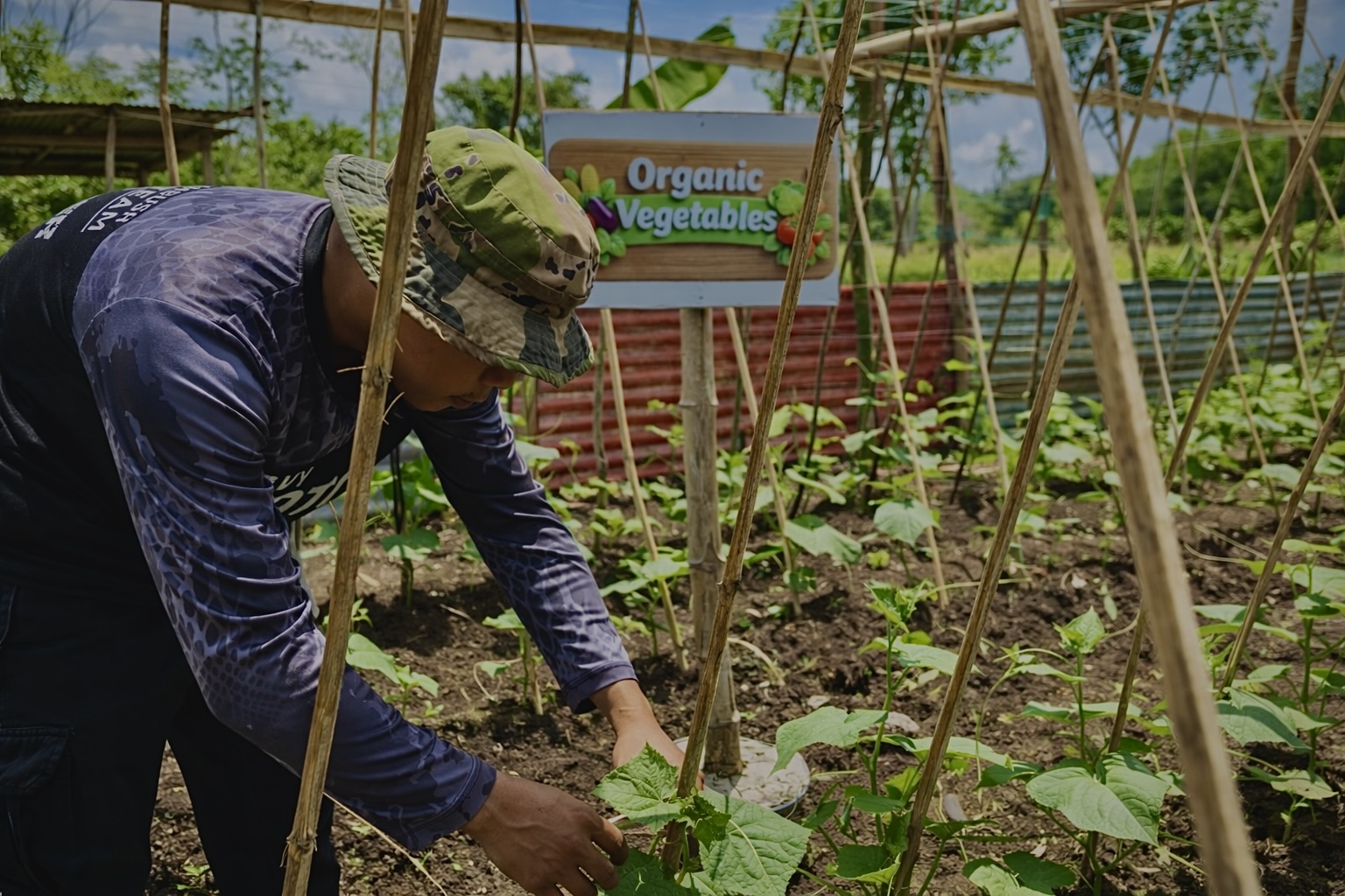 Organic Agriculture Production NC II